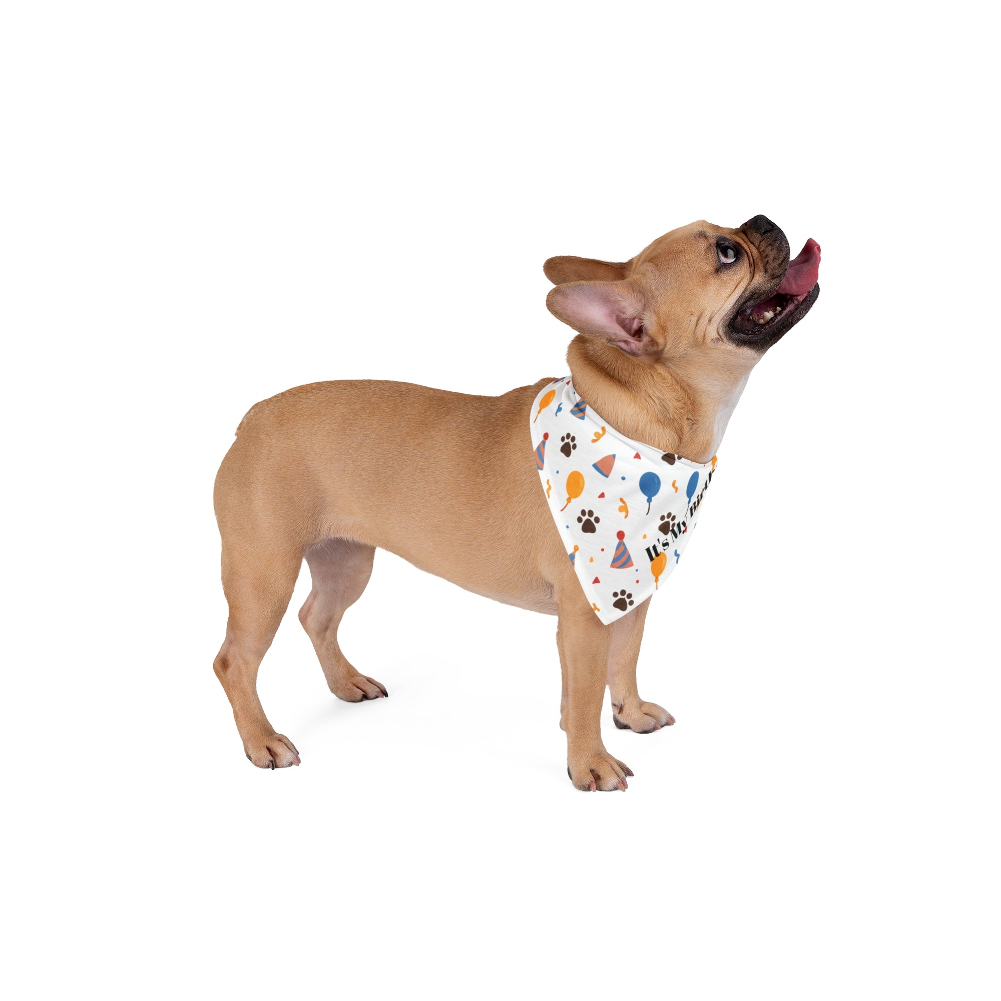 Birthday Celebration Pet Bandana, Fun Balloon and Paw Print Party Themed Design, Dog Bandana