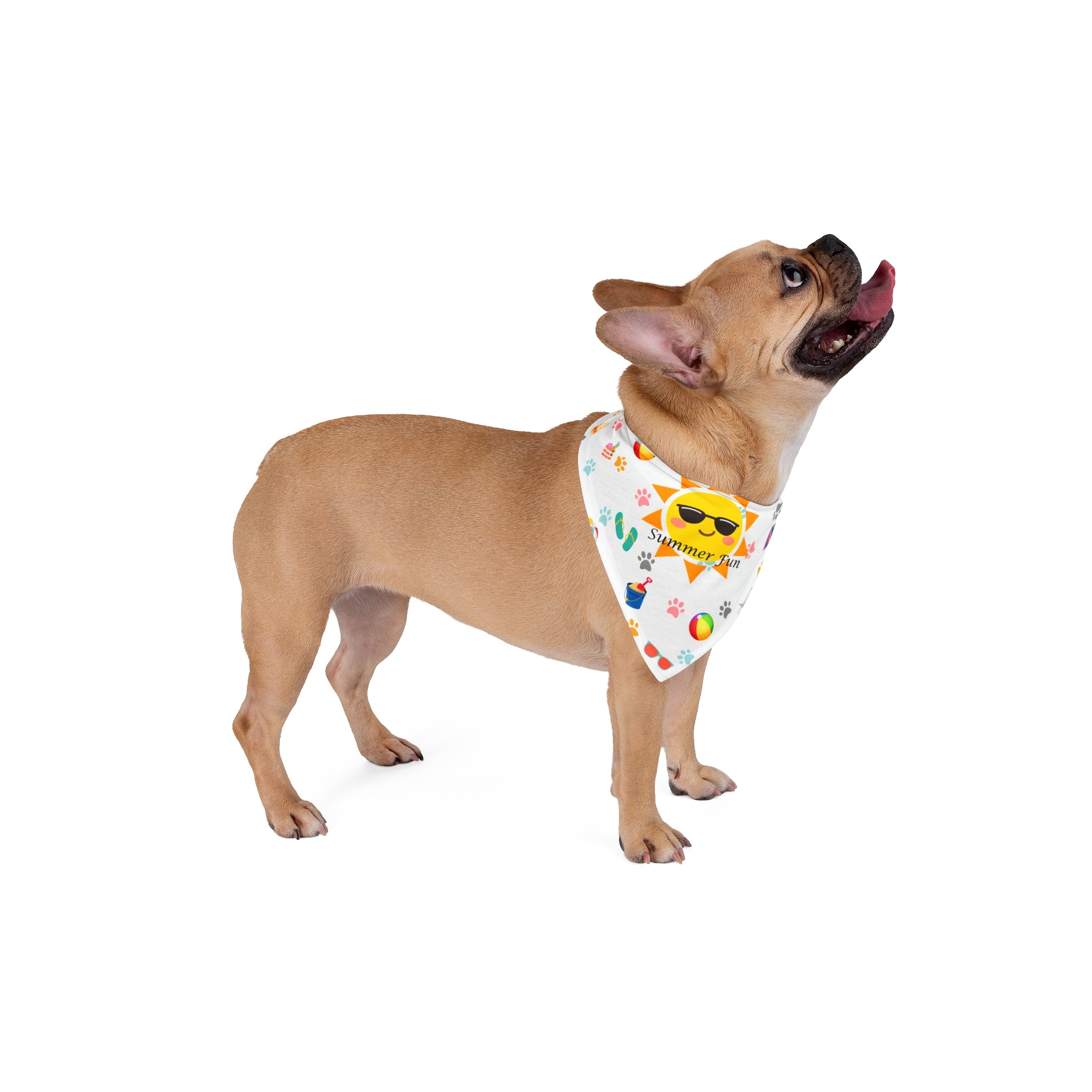 Summer Fun Pet Bandana, Cute Pet Accessory, Pet Bandana for Summer Vacations, Beach Outfits for Pets, Fun Pet Gift, Beach Vibes
