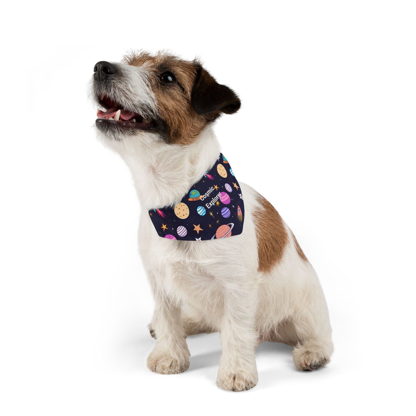 Small dog wearing a colorful Cosmic Explorer bandana on a white background