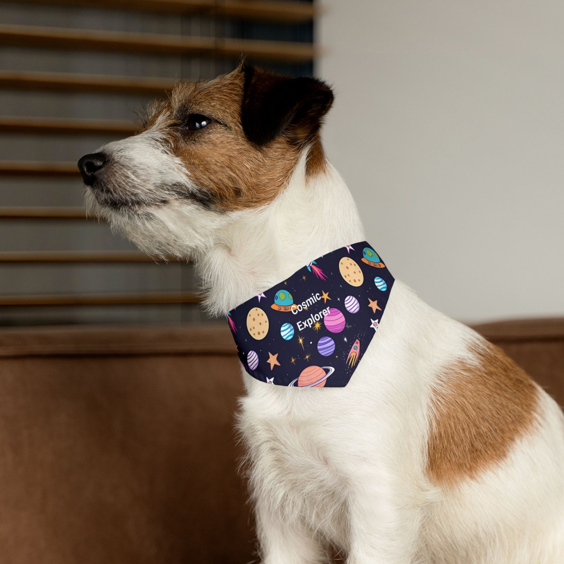 Dog wearing a colorful 'Cosmic Explorer' collar with a neutral background