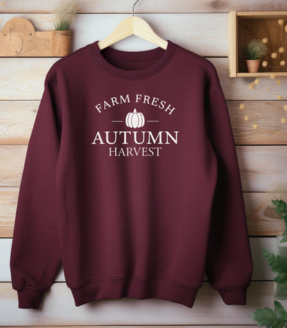 Maroon Gildan sweatshirt featuring a minimalist white Farm Fresh Autumn Harvest design with a simple pumpkin graphic in the center. A clean and classic fall look that captures rustic charm and seasonal spirit—perfect for farmers markets, pumpkin patches, and cozy autumn days.