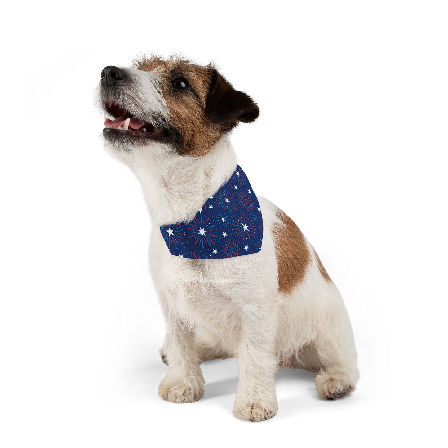 Small dog wearing a blue Patriotic Firework bandana with white patterns on a white background