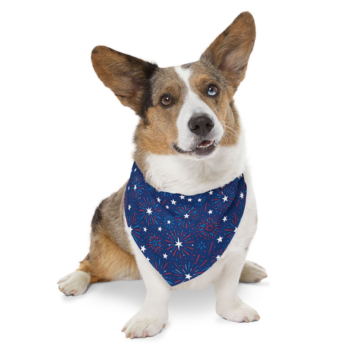 Dog wearing a blue Patriotic Firework bandana with star pattern on a white background