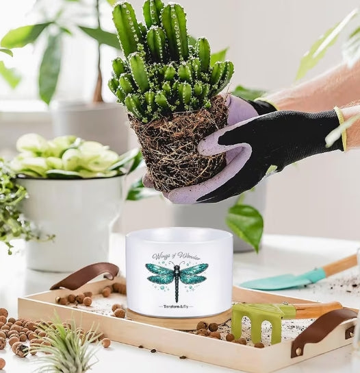 Wings of Wonder Dragonfly Ceramic Flower Pot, Transform & Fly Planter